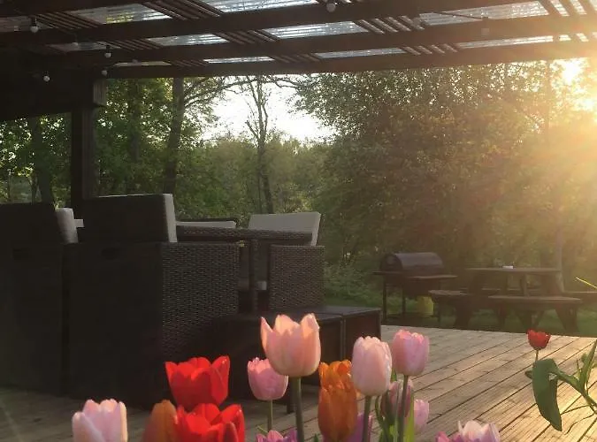 Joosepi House 度假居 *